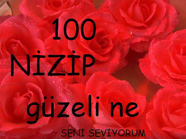 3 Gül --> 3 Üye