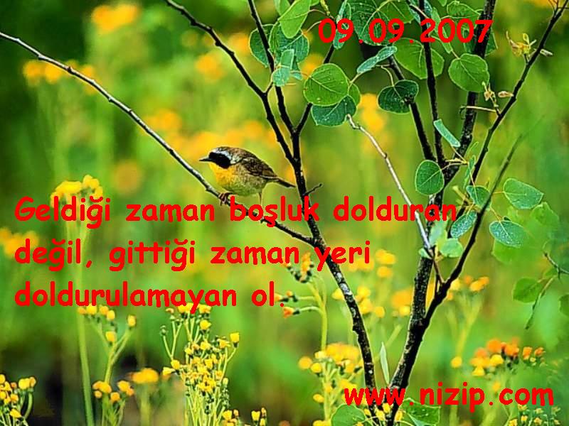 GÜNÜN SÖZÜ  (Nasihat Sözleri ile birleştirildi...)