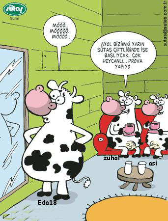 Sütaş karikatürleri Nizip.com'da Olursa.