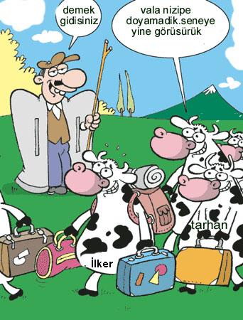 Sütaş karikatürleri Nizip.com'da Olursa.
