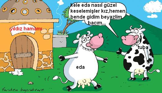 Sütaş karikatürleri Nizip.com'da Olursa.