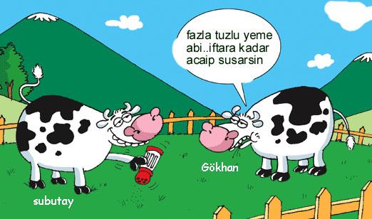 Sütaş karikatürleri Nizip.com'da Olursa.