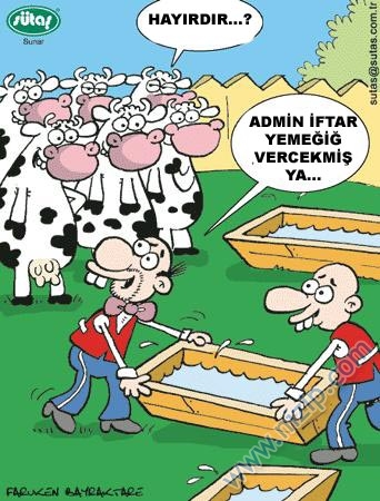 Sütaş karikatürleri Nizip.com'da Olursa.