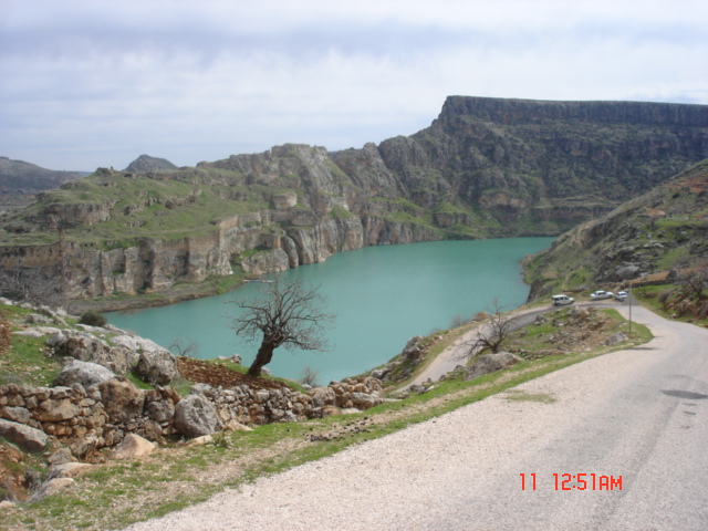 RumKale
