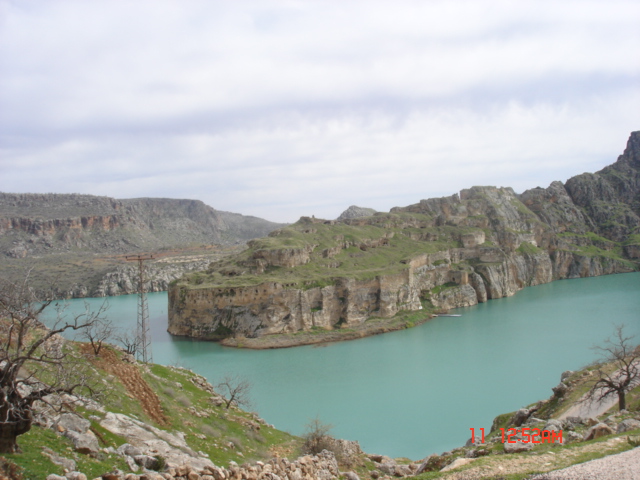 RumKale