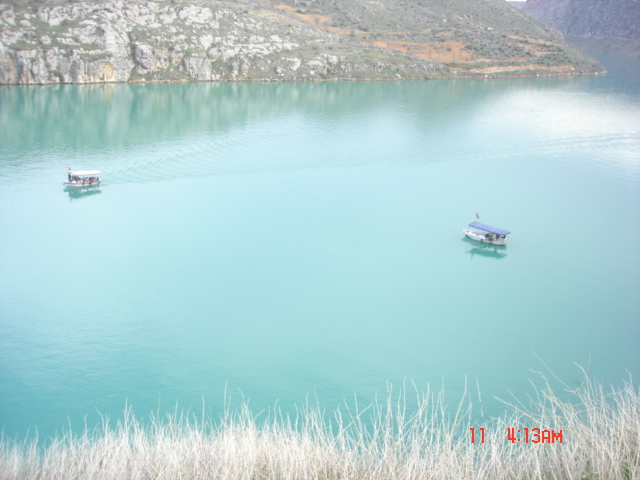 RumKale