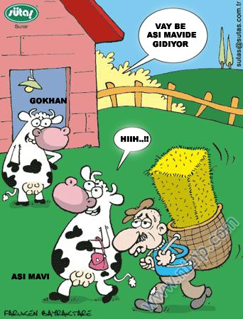 Sütaş karikatürleri Nizip.com'da Olursa.