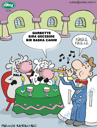 Sütaş karikatürleri Nizip.com'da Olursa.