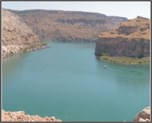 RumKale