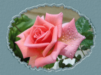 Hz.Ömer( r.a) dan