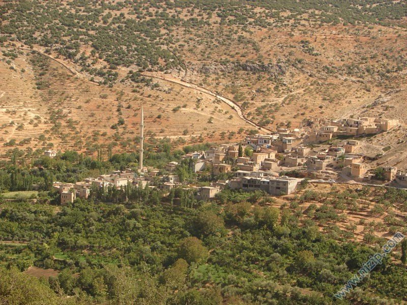 Kuşdam Alabalık çiftliği ve piknik yeri