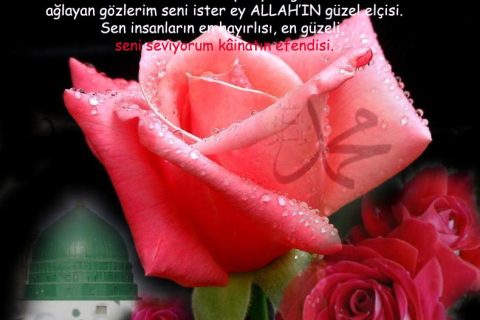 Bir Gün Peygamber Ziyaretinize Gelse