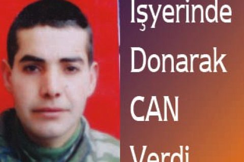 Donarak can verdi
