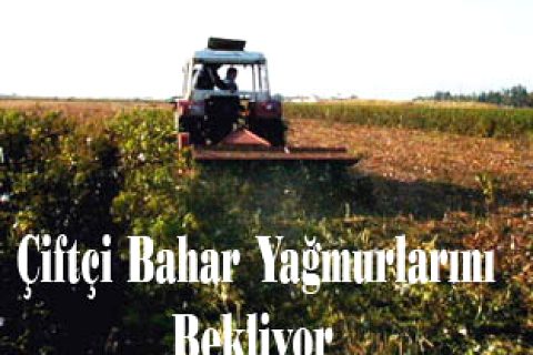Çiftçinin umudu bahar yağmuru