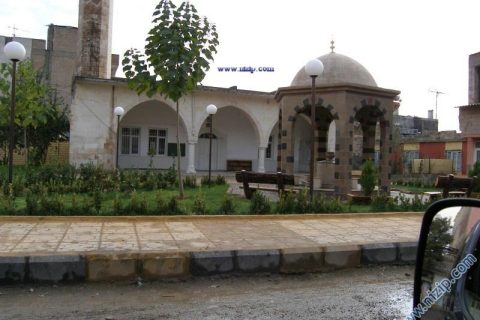 Saha Camisi