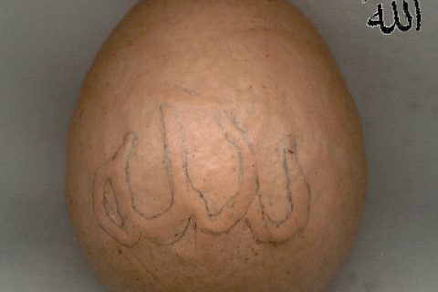 işte ALLAH  isminin bulundugu muzice resimler