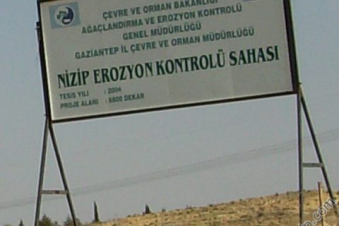 Nizip MYO'nun Sorunları