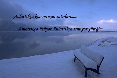 Seni Sevdim Ben...