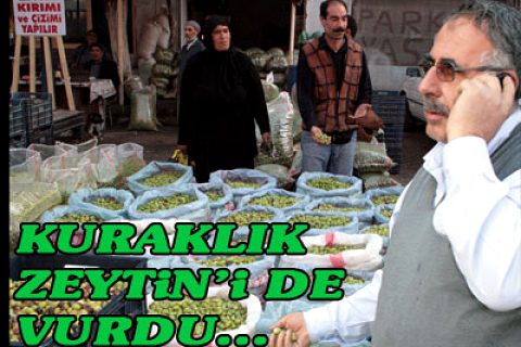 Zeytinimiz dışardan