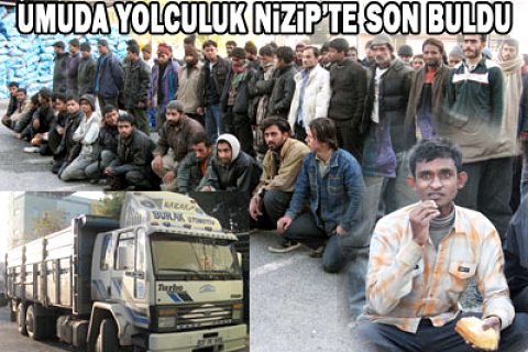 Yine kaçak göçmen yakalandı