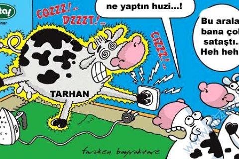 huzi yine kayıp