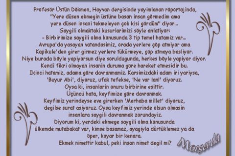 Küçük Şeyler...