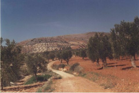 Karabağlı günler