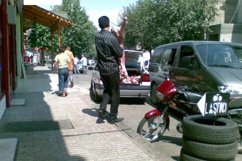 Insan sağlığı