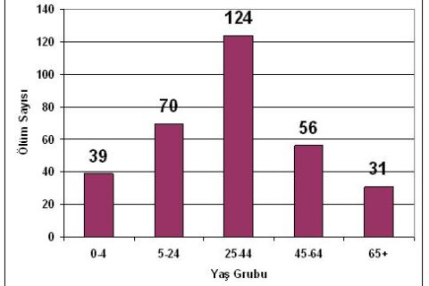 Çocuğunuza Domuz Gribi Aşısı yaptıracakmısınız?