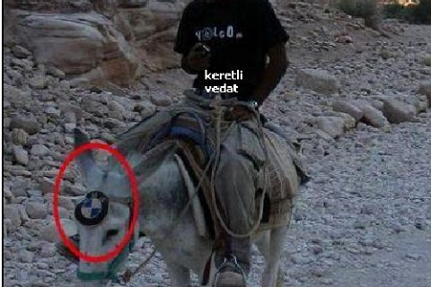 Ayçiçek yağının müthiş özelliği..!