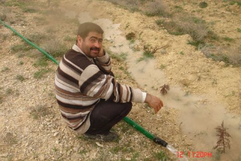 Traktörcü Galip