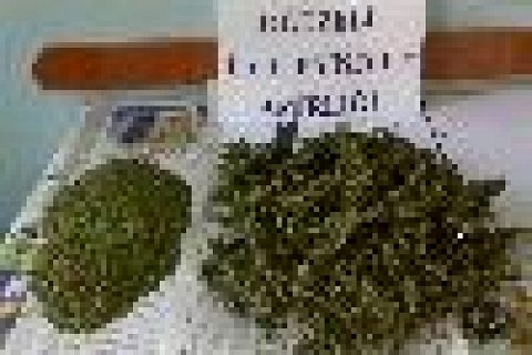 Oğuzeli'nde uyuşturucu operasyonu