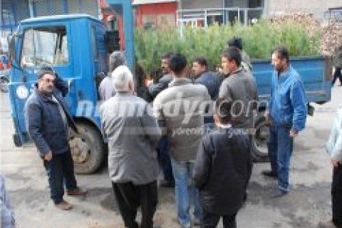 Fidan Dağıtımı Devam Etti