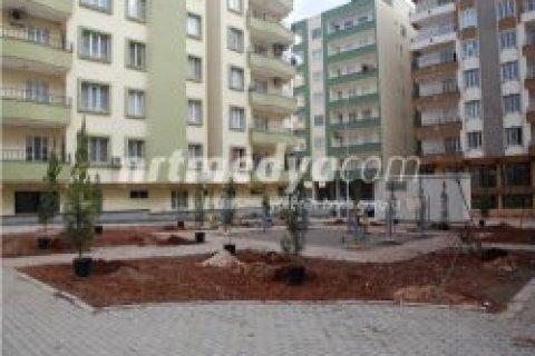 Nizip'te Ağaçlandırma Çalışmaları