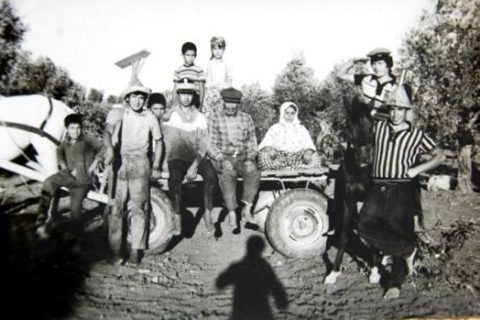 Laf ile Değil, Hal ile Anlatmak
