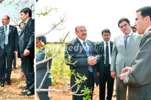 Karkamışlı Çiftçiler Yaralarını Sarmaya Çalışıyor