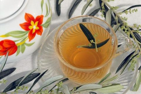 Zeytin yaprağı Çayı
