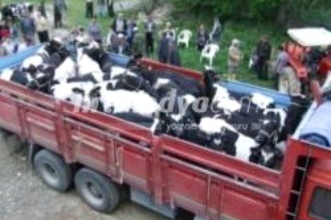 Belgesiz Hayvan Sevki Yapana Ceza Uygulanacak