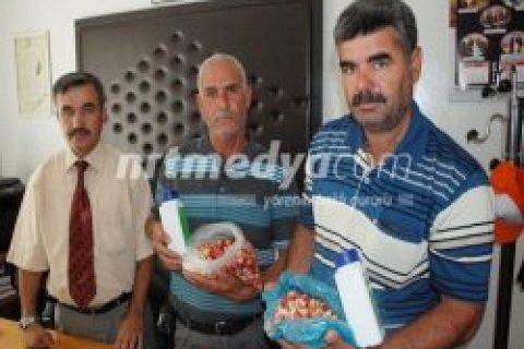 İlk Beng Fıstığa Ödül