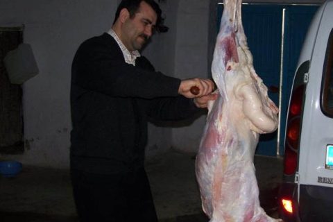 1.Kuzu tamam..2.Kuzu için mekan ve tarih seçin