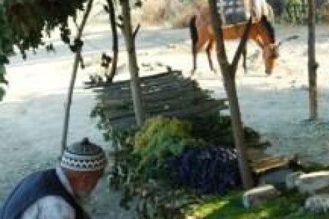Yazılmayanlar ve Biz Aslında Çok Yorgunuz