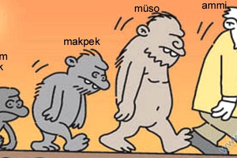 Nizipcom evrim teorisi