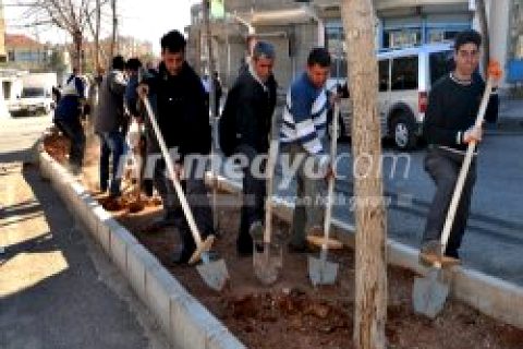 Yeşil Alanlarda Toprak Havalandırma Çalışması
