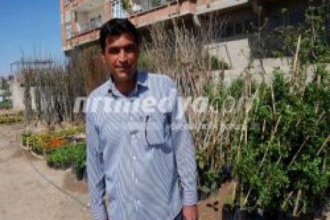Cihan Tarımda Sebze-Meyve ve Çiçek Fideleri