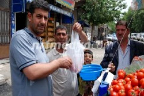 "Domates" El Yakıyor !