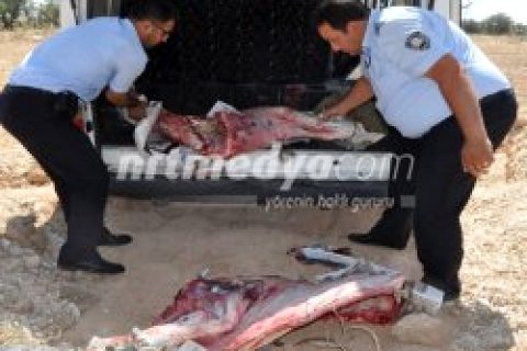 Nizip\'te 300 Kilo Bozuk Et İmha Edildi