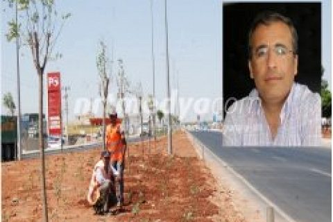 Duble Yolda Ağaçlandırma Çalışması