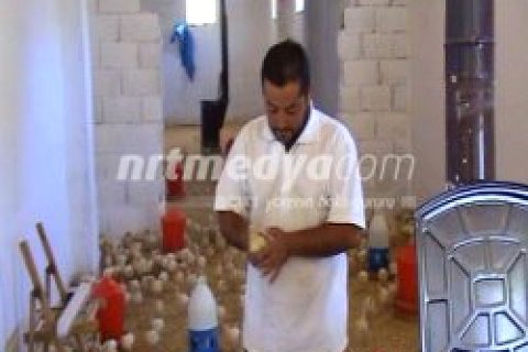 Nizip'te Beyaz Amerikan Hindi Satışları