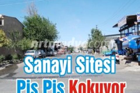 Sanayi Sitesi Pis Pis Kokuyor