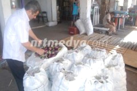 Dolmalıklar El Yakıyor !